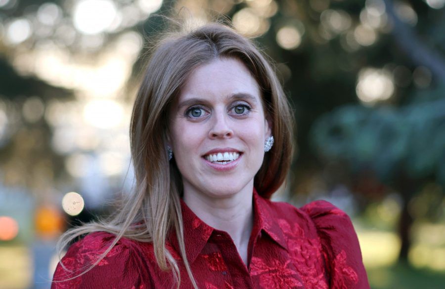 Princess Beatrice - The Elephant Family Evening of Art and Conservation 2025 - Avalon BangShowbiz