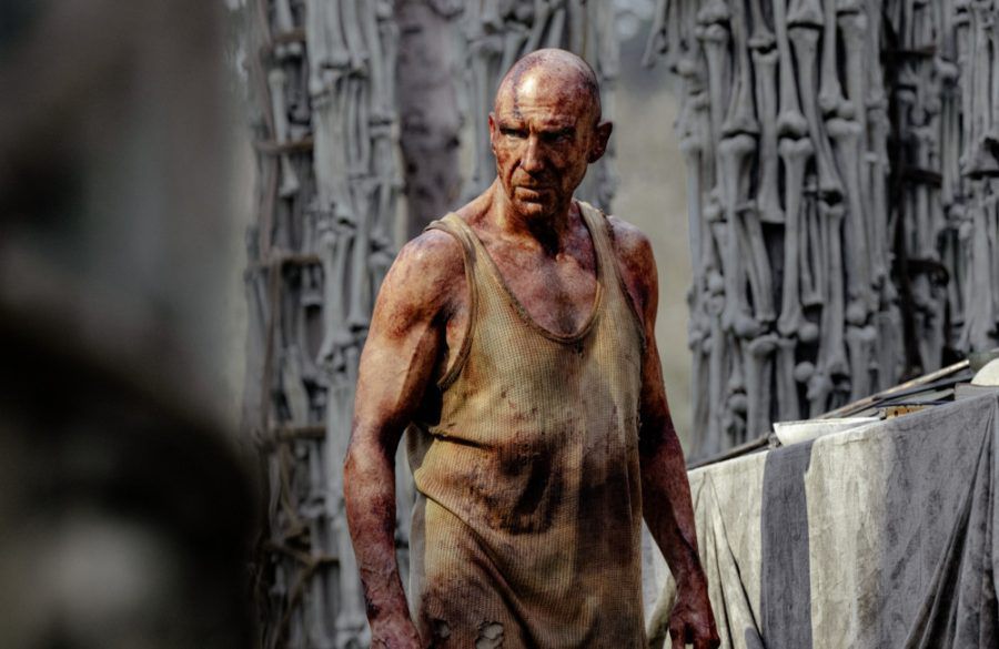 Ralph Fiennes in 28 Years Later - Sony Pictures BangShowbiz