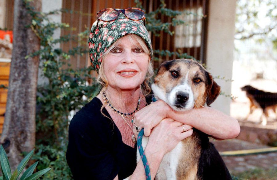 Brigitte Bardot Visits Dog Refuge 2001 - Getty BangShowbiz
