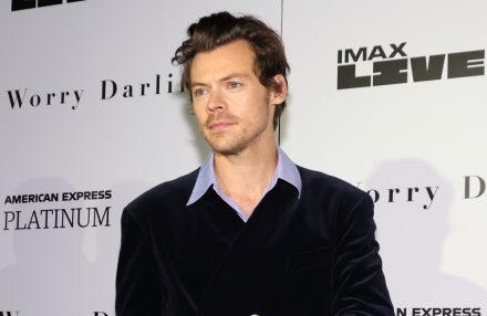 Harry Styles im blauen Jumpsuit in Rockstar-Pose