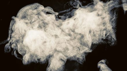 Diese Stars leben vegan