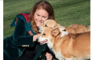 Sarah Ferguson - October 2022 - Queen's corgis - Twitter - ONE USE BangShowbiz