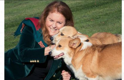 Sarah Ferguson - October 2022 - Queen's corgis - Twitter - ONE USE BangShowbiz