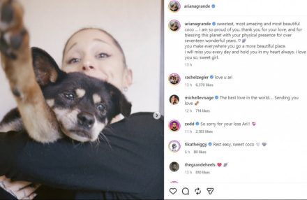 Ariana Grande  - ONE USE - dog Coco - Oct 26 BangShowbiz